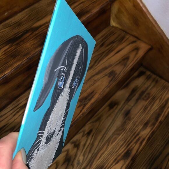 Blue Eyed Puppy - Picture 5 of 8